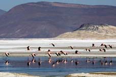 Llibro Chile